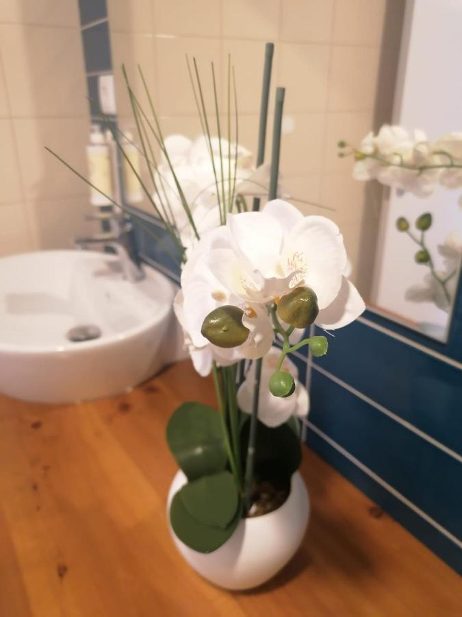 Apartamento Graciosa - Sta Catarina Place Ponta Delgada المظهر الخارجي الصورة